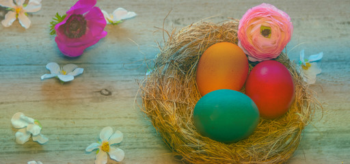 Fototapeta na wymiar Frohe Ostern, Osternest mit bunten Ostereiern und Blumen, Panorama - HAPPY EASTER, Easter nest with flowers and easter eggs 