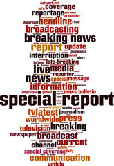 Special report word cloud