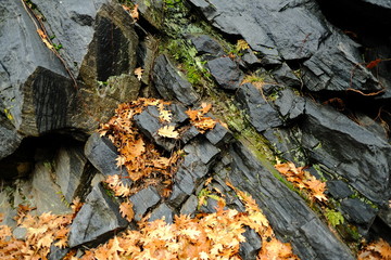 Rocks