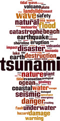 Tsunami word cloud
