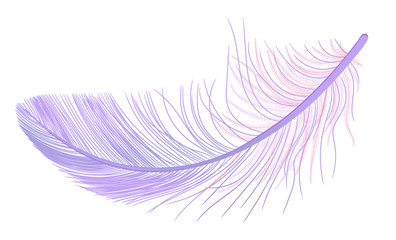 Feather, fluff, fuzz vector, realistic 3d. Colored, violet, purple. Pooh, lightness, airiness.