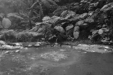 Smoking fumarole and water spring in geothermal area in a forest in azores Islands, Portugal