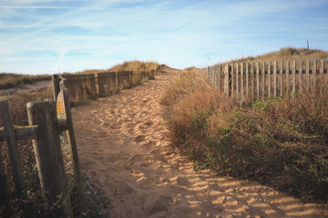 Path to the beach through the dunes surrounded by a wood fence