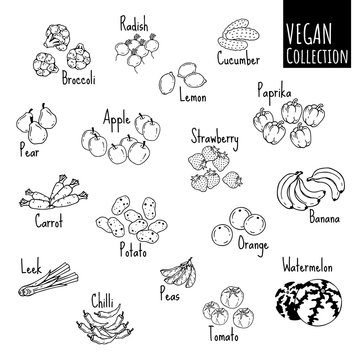 Group of vector illustrations on the vegetarianism theme: various types of fresh vegetables and fruits. Zero waste. Eco lifestyle. Isolated objects for your design.