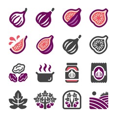 fig icon set,vector and illustration