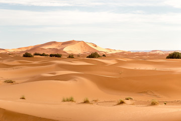 Fototapeta na wymiar Dunes Erg Chebbi desert, Sahara, Merzouga
