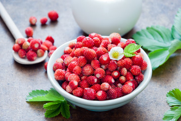 Breakfast with wild strawberries and milk on a brown background