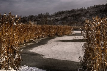 Winter at lake