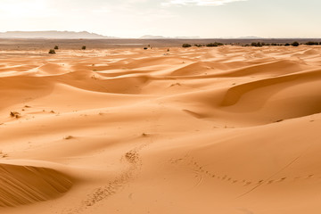 Fototapeta na wymiar Fantastic view of Erg Chebbi in the Morocco Sahara desert