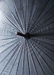 Closeup of umbrella texture in raindrops. .