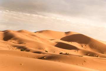 Fototapeta na wymiar Dunes Erg Chebbi desert, Sahara, Merzouga