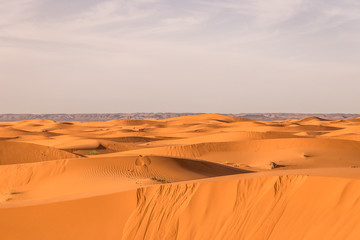 Fototapeta na wymiar Erg Chebbi, Sahara desert, Merzouga