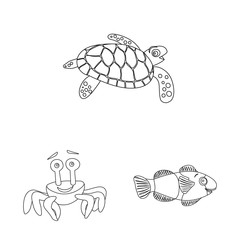 Vector illustration of sea and animal icon. Set of sea and marine stock symbol for web.