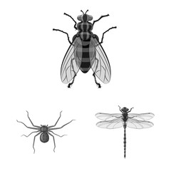 Vector illustration of insect and fly logo. Set of insect and element vector icon for stock.