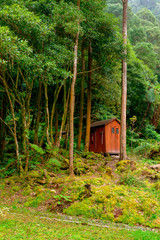 Beautiful Cabin in Forest, Azores