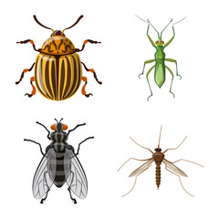 Vector design of insect and fly icon. Set of insect and element stock vector illustration.