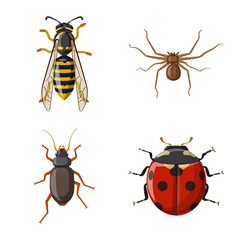 Vector design of insect and fly symbol. Set of insect and element stock symbol for web.