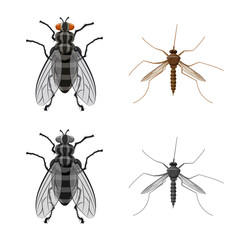 Vector design of insect and fly logo. Collection of insect and element vector icon for stock.