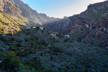 Fototapeta na wymiar View of Masca village with palms and mountains, Tenerife, Canary islands