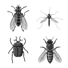 Isolated object of insect and fly symbol. Set of insect and element stock symbol for web.