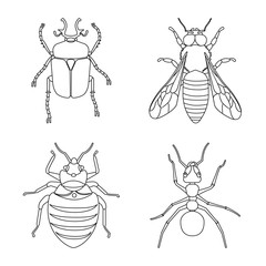 Vector illustration of insect and fly sign. Collection of insect and element stock vector illustration.