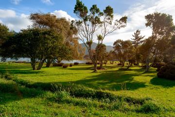 Beautiful View over Sete Cidades Park, Azores
