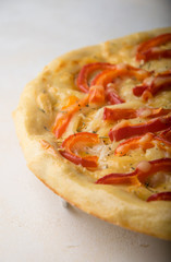 vegetable pizza closeup on light table