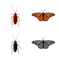 Naklejka premium Isolated object of insect and fly logo. Collection of insect and element stock symbol for web.