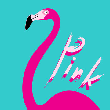 Vector poster with pink flamingoes hand made signature.