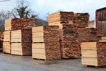 SCIERIE - INDUSTRIE DU BOIS