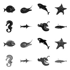 Isolated object of sea and animal logo. Collection of sea and marine stock symbol for web.