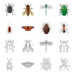 Vector design of insect and fly logo. Set of insect and element stock symbol for web.