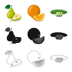 Vector design of vegetable and fruit icon. Collection of vegetable and vegetarian stock symbol for web.