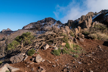 Roque de los Muchachos - Auf dem Gipfel