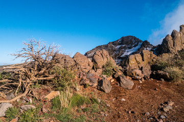 Roque de los Muchachos - Ganz oben