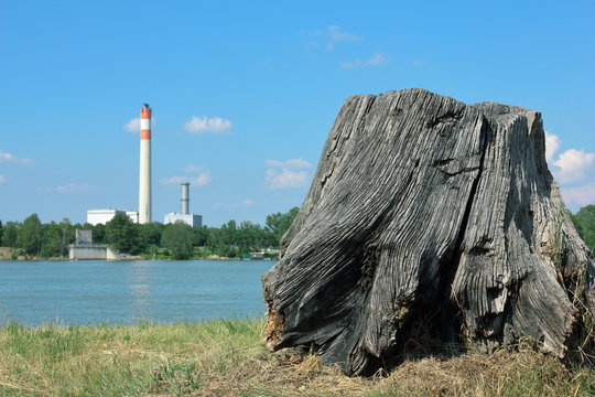 Alter Baumstumpf vor Kraftwerk