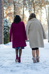 Two girls in bright coats are walking in a snow-covered park - rear view.