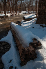 484-06 Hammel Creek & Winter Log