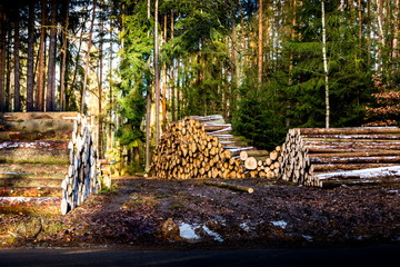 Stacks of firewood in the sawmill. Pile of firewood.