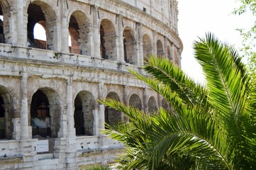 Obraz premium colosseum in rome italy with palm trees