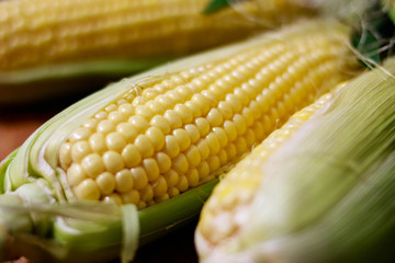 Corn on the cob