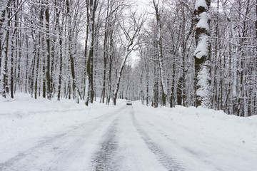 the road in the winter forest and trees in the snow on a cloudy day