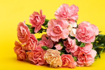 Obraz na płótnie Canvas bouquet of pink carnations flowers