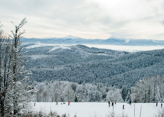 skiers descend from the mountain forests