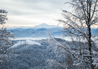 beautiful mountains in winter