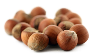 hazelnuts isolated on white background