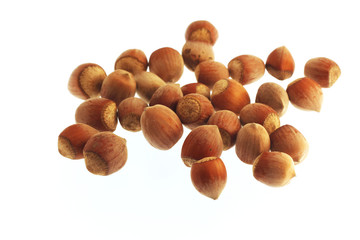 hazelnuts isolated on white background
