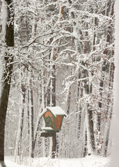 A small tree house in a snowy forest on a clear winter frosty day