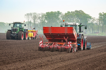 Kartoffelanbau Aussaat © agrarmotive