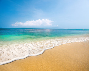 beach and beautiful tropical sea
